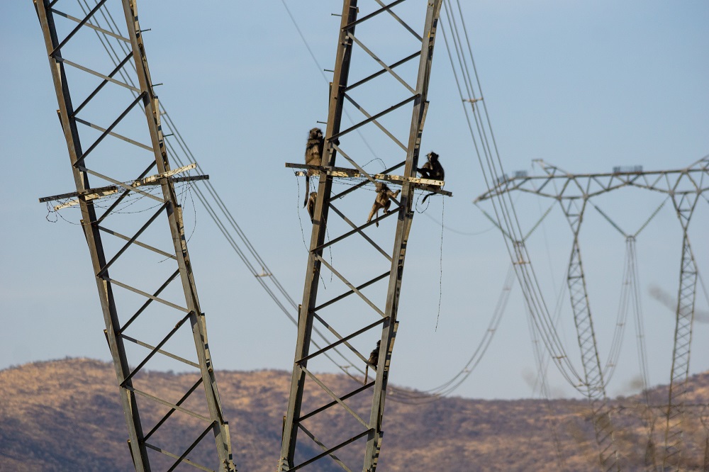 La BAD approuve un prêt pour la deuxième phase d'un projet de transmission d'électricité à Madagascar